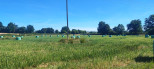 vente Terrain agricole Bannegon