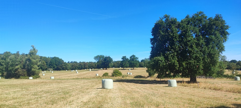 vente Terrain agricole Bannegon - Photo 1