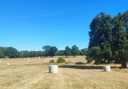 vente Terrain agricole Bannegon