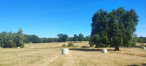 à vendre Terrain agricole Bannegon