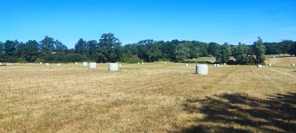 vente Terrain agricole Bannegon - Photo 3