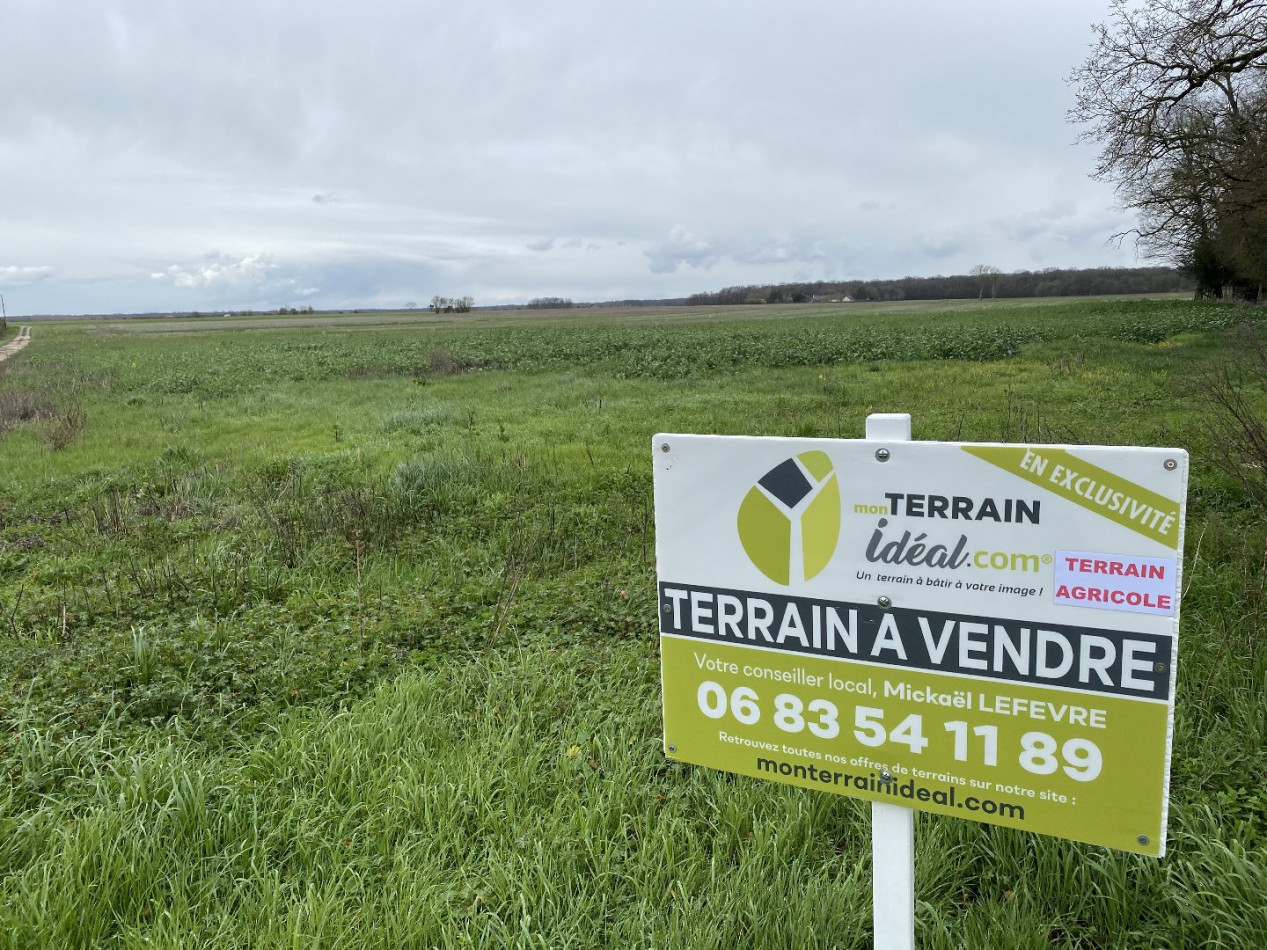 Vente Terrain Agricole Le Poinconnet 105835m 82 500 Indre