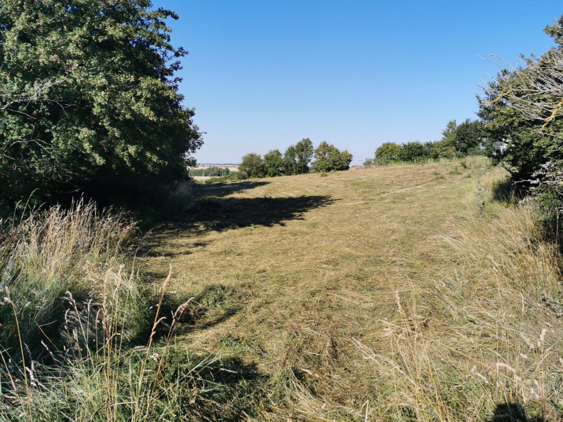 vente Terrain de loisir Gron - Photo 3