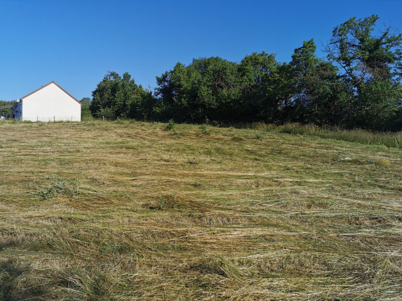 vente Terrain de loisir Gron - Photo 6