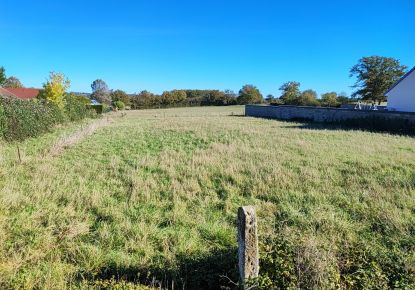 vente Terrain constructible Saint Georges De Poisieux