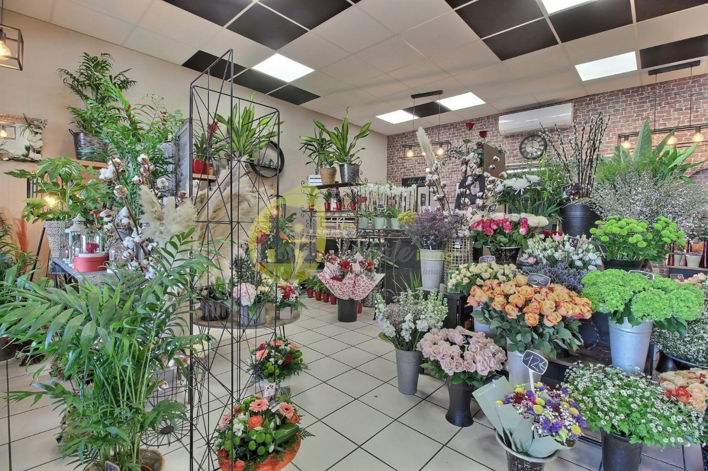 vente Fleuriste Saint Germain Du Puy