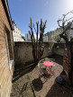 vente Appartement en rez de jardin Tours