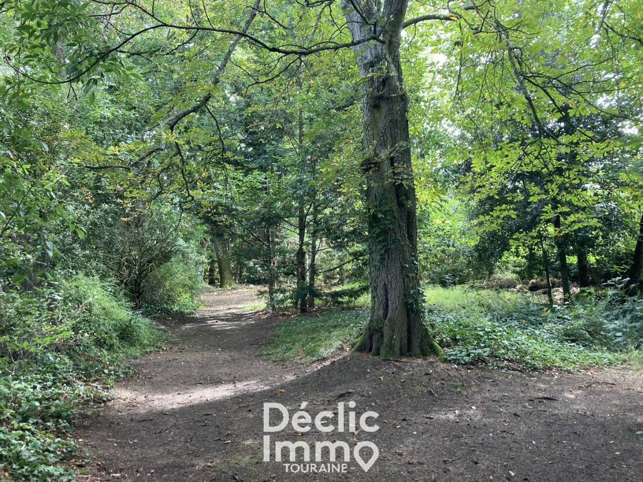 vente Maison Descartes - Photo 2