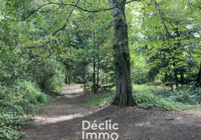 vente Maison Descartes