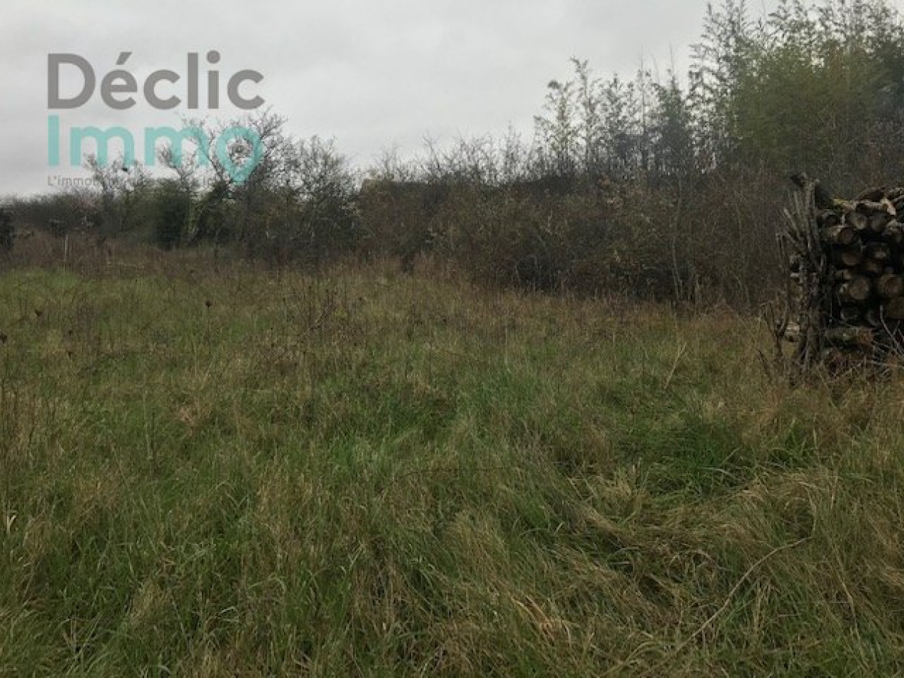 vente Cave Montlouis Sur Loire - Photo 5