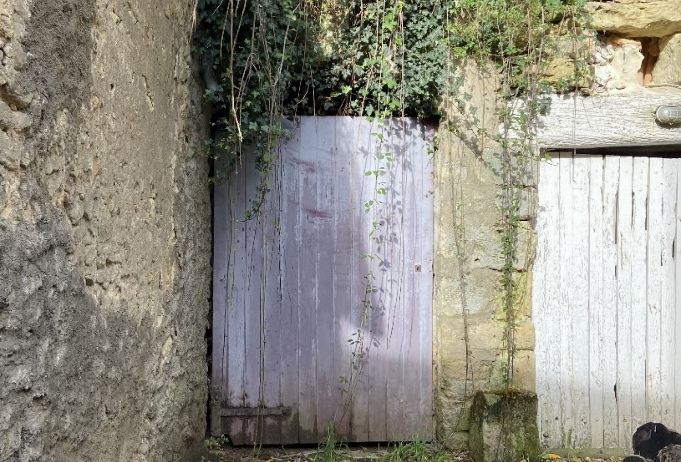 vente Cave Dierre - Photo 3