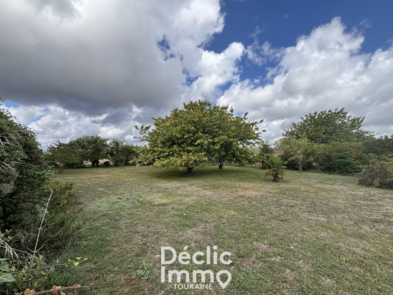 vente Maison de campagne Jaulnay - Photo 1