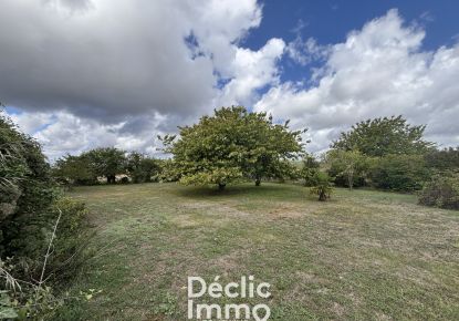 vente Maison de campagne Jaulnay