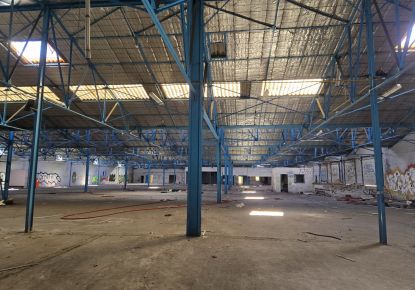 vente Locaux d'activité Saint-pierre-des-corps