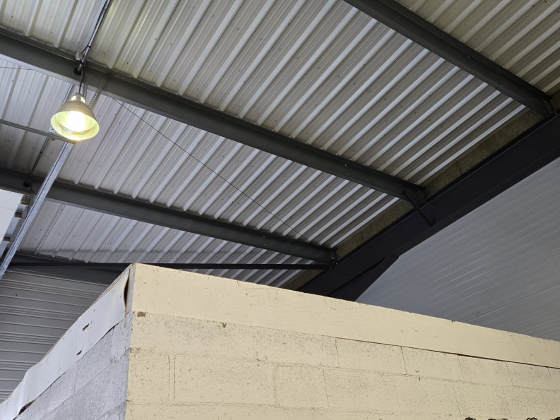 vente Locaux d'activité Ballan Mire - Photo 6