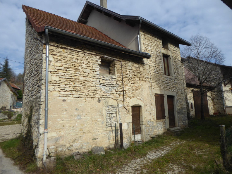 vente Maison en pierre Trept - Photo 3