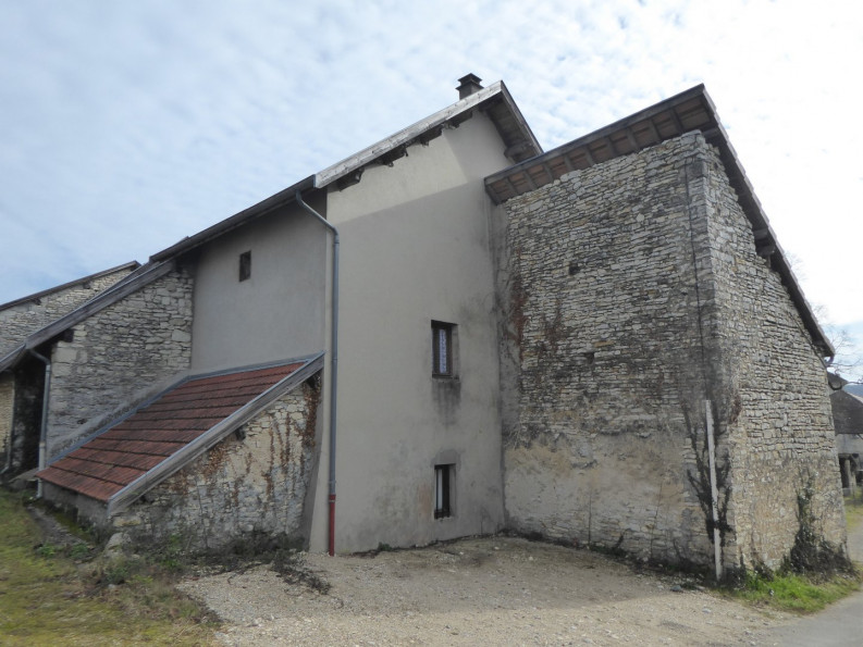 vente Maison en pierre Trept - Photo 4