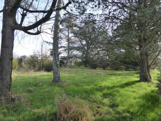 à vendre Terrain constructible Trept