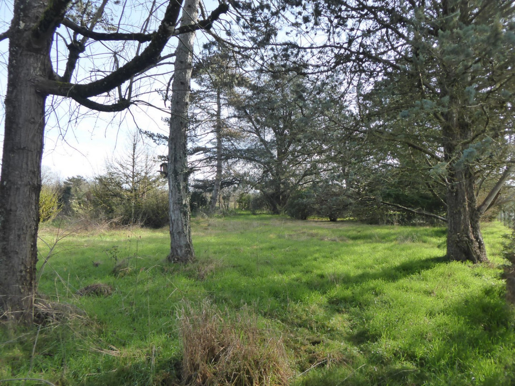 à vendre Terrain constructible Trept - Photo 2