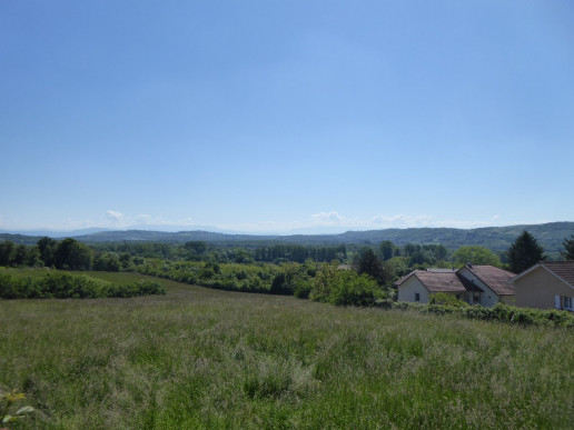à vendre Maison à rénover Trept
