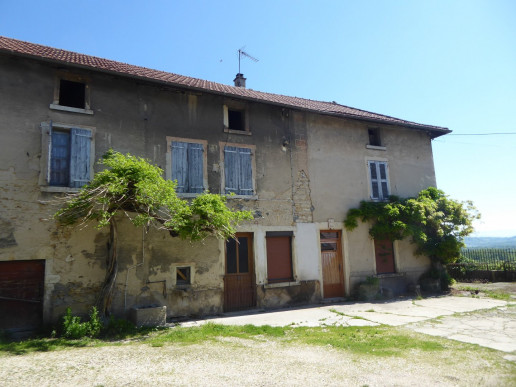 à vendre Maison à rénover Trept