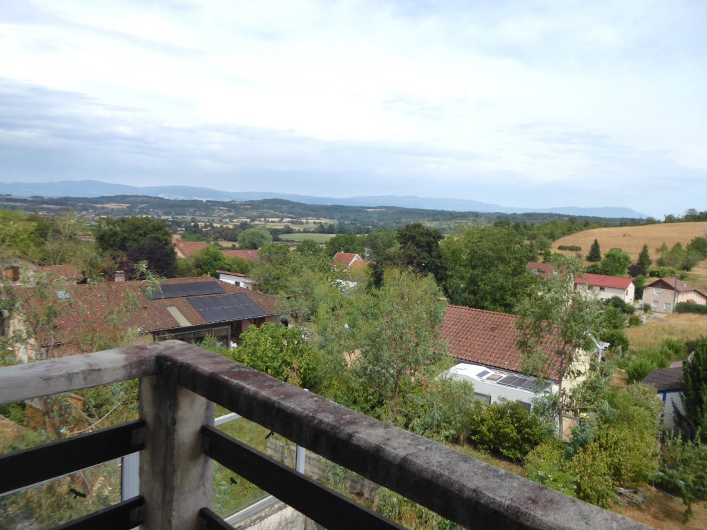 à vendre Maison en pierre Siccieu Saint Julien Et Carisieu - Photo 8
