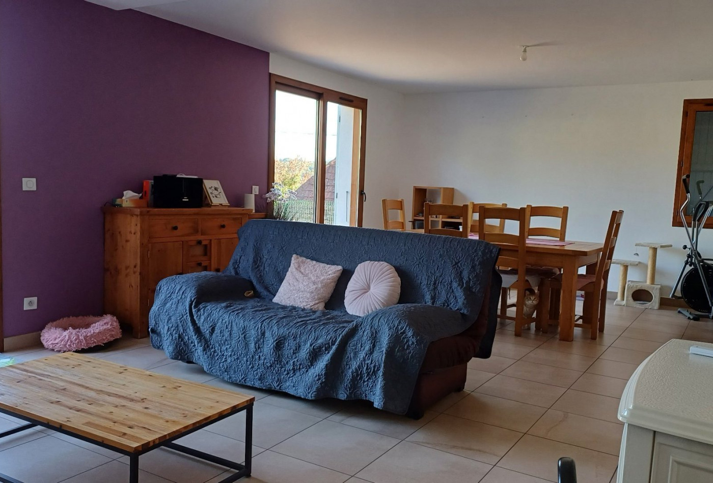 vente Maison individuelle Les Avenieres - Photo 6