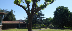 vente Maison de caractère Trept