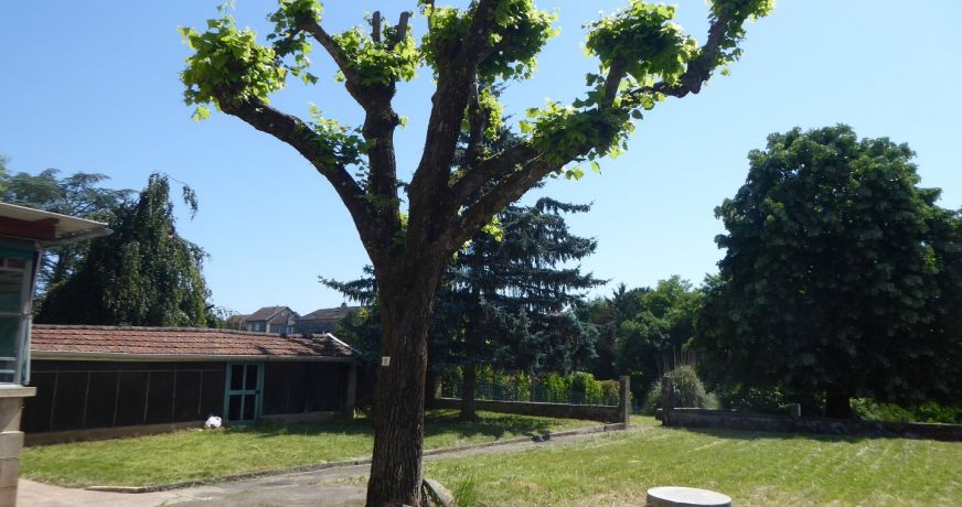 vente Maison de caractère Trept