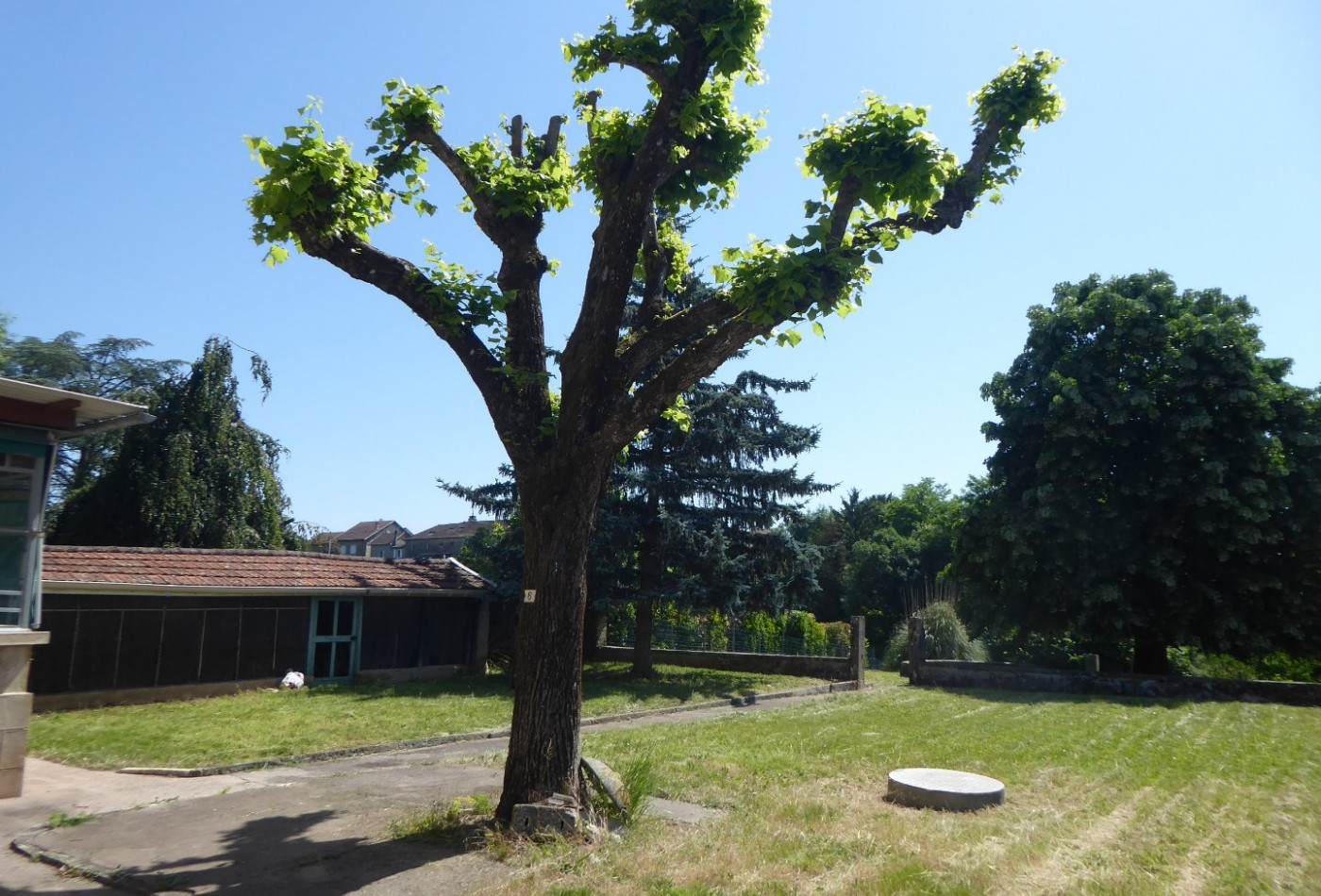 vente Maison de caractère Trept - Photo 4