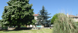 vente Maison de caractère Trept