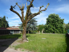 vente Maison de caractère Trept