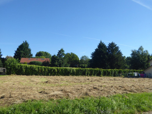à vendre Terrain constructible Trept