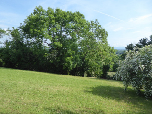 à vendre Maison individuelle Salagnon