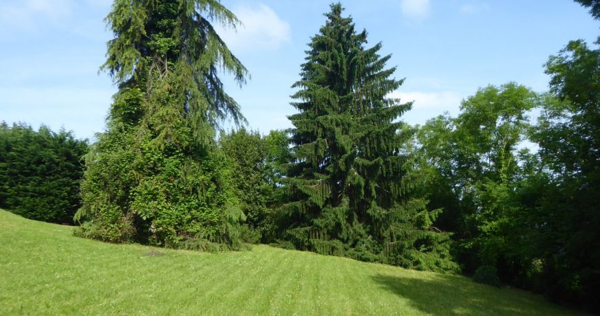 vente Maison individuelle Salagnon