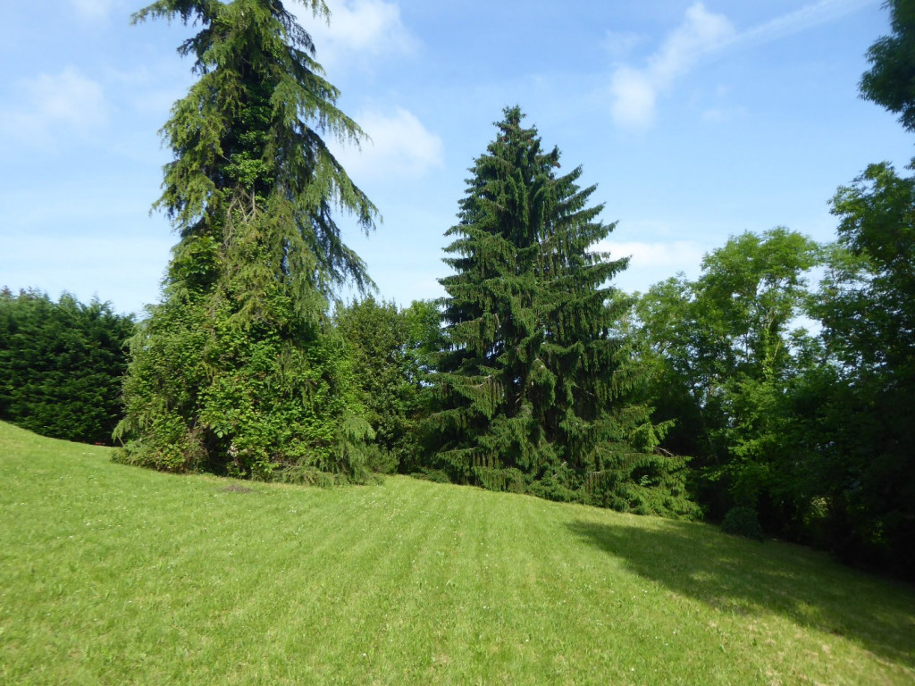 à vendre Maison individuelle Salagnon - Photo 6