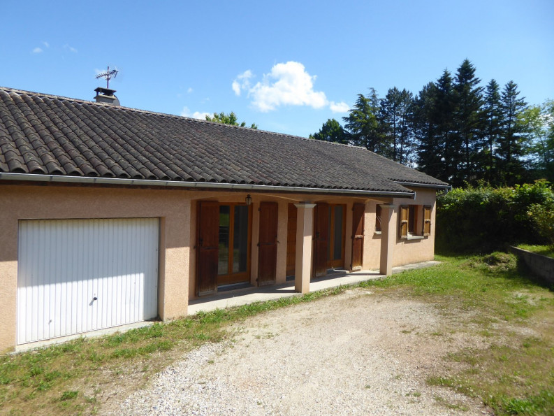 vente Maison individuelle Trept - Photo 5