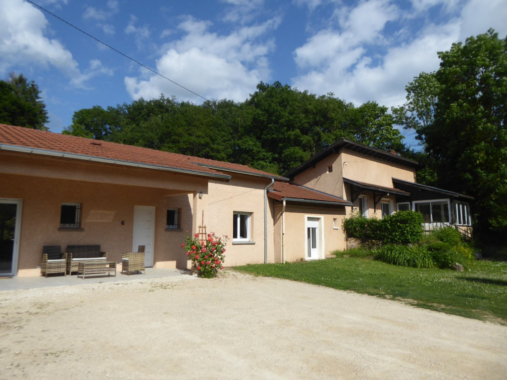 à vendre Maison individuelle Trept - Photo 10