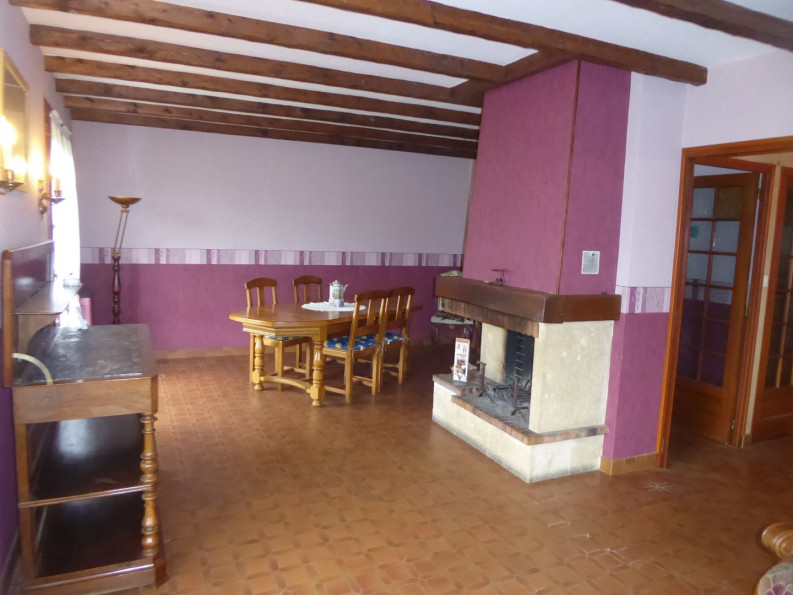 vente Maison individuelle Morestel - Photo 6
