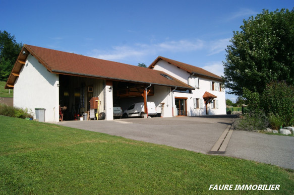 à vendre Maison individuelle Morestel