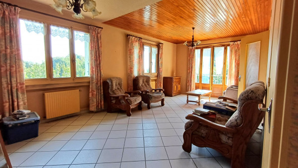 à vendre Maison individuelle Les Avenieres