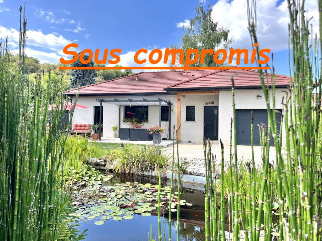 à vendre Maison individuelle Creys Mepieu - Photo 1