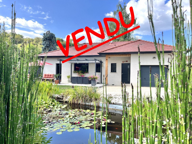 vente Maison individuelle Creys Mepieu - Photo 1