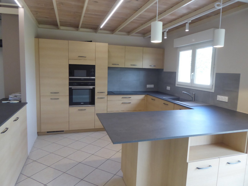 à vendre Maison individuelle Trept - Photo 7