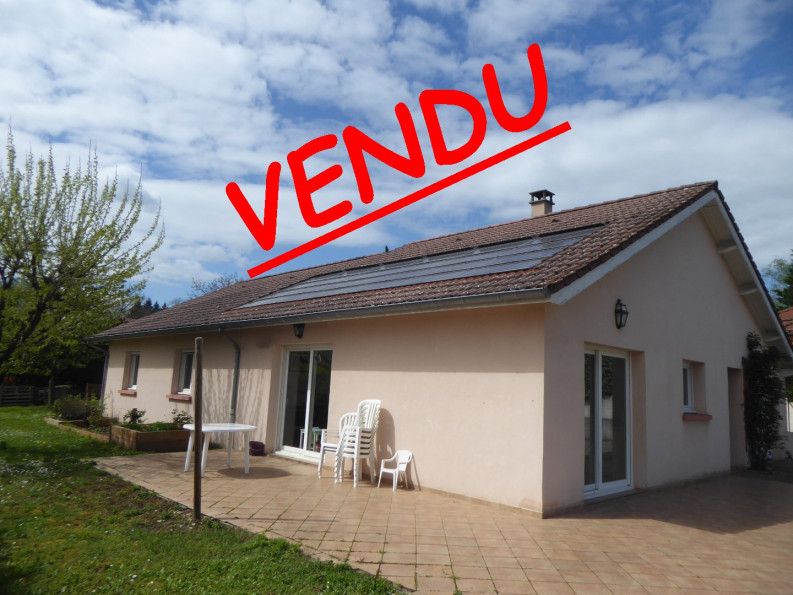 vente Maison individuelle Soleymieu - Photo 1