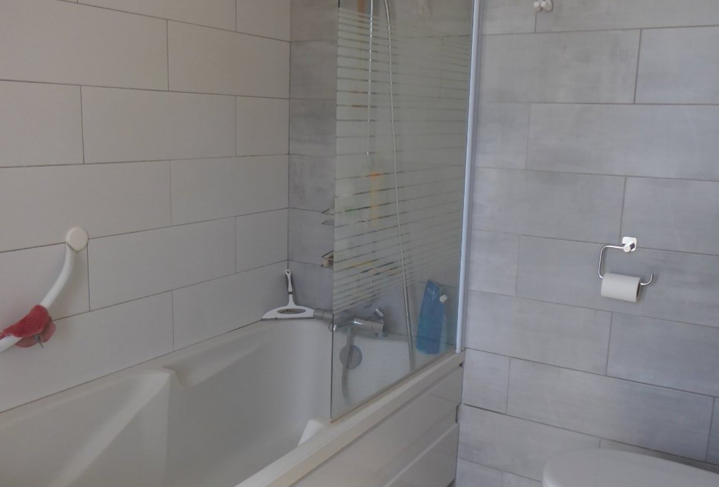 vente Maison individuelle Salagnon - Photo 9