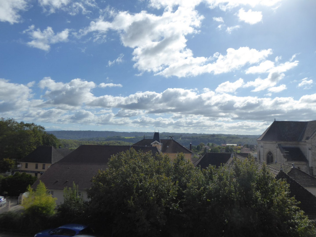 à vendre Appartement Sermerieu - Photo 3