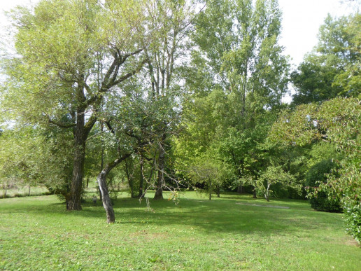 à vendre Maison individuelle Trept