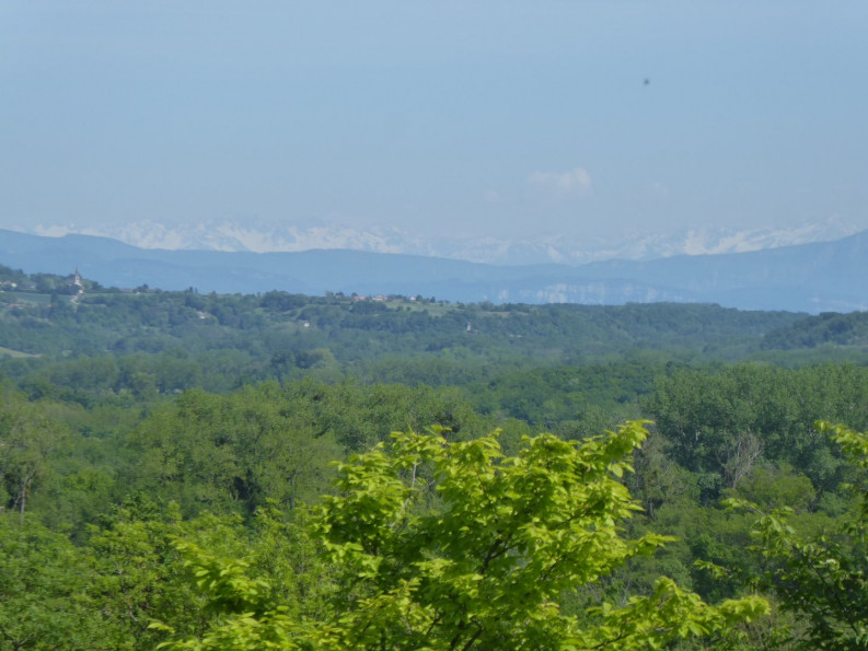 vente Maison individuelle Trept - Photo 5