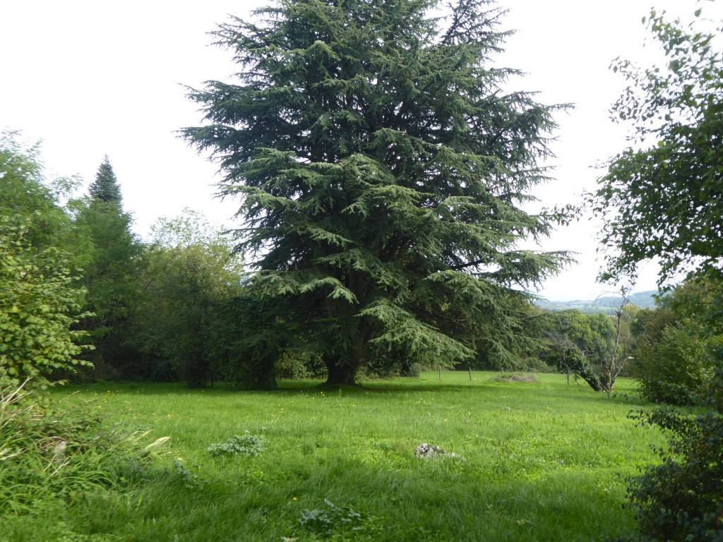 à vendre Maison en pierre Soleymieu - Photo 4